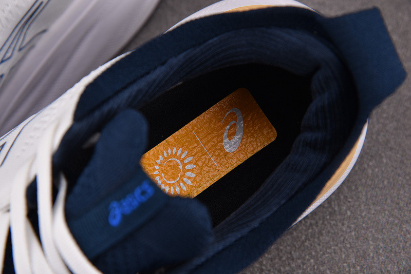 As*ic*s gel nimbus 25 shoes